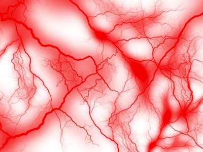 腫瘍マーカー検査